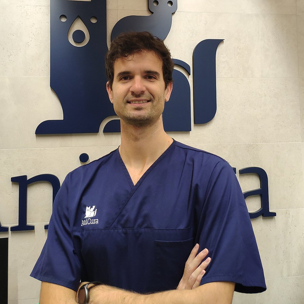 Una persona con un uniforme azul.