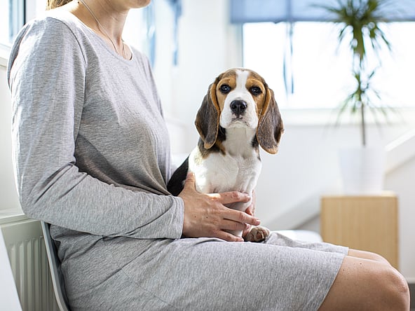Una persona sosteniendo a un perro.