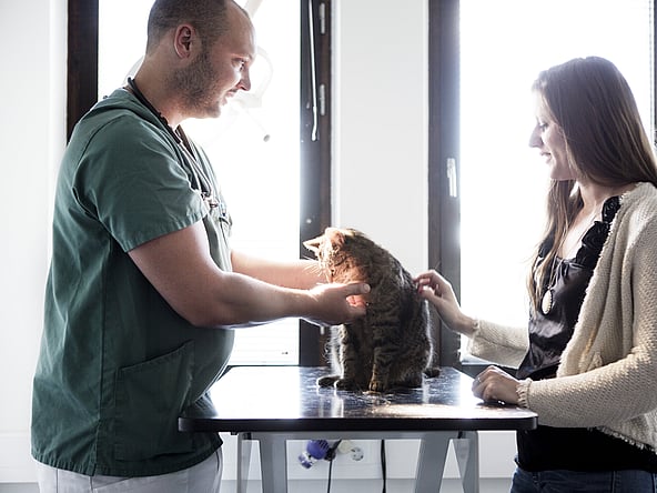 Una persona y una persona de pie junto a un gato.