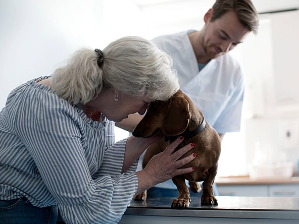 Una persona acariciando a un perro.
