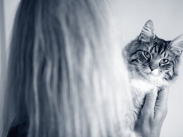 Una persona sosteniendo un gato.