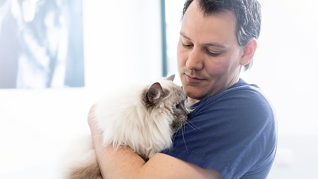 Una persona sosteniendo un gato.