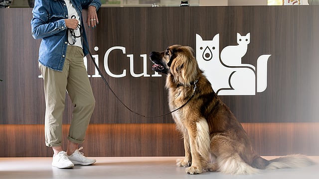Un perro sentado con correa junto a una persona.