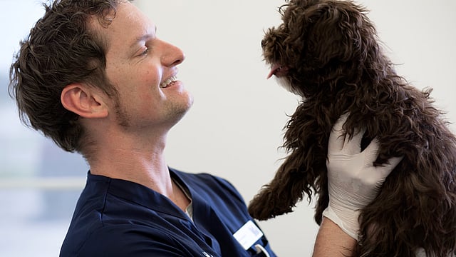 Una persona sosteniendo a un perro.
