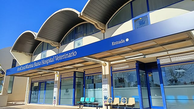 Un edificio con ventanas arqueadas y toldos azules.