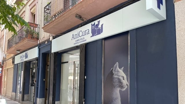 Un edificio con un gato al lado.
