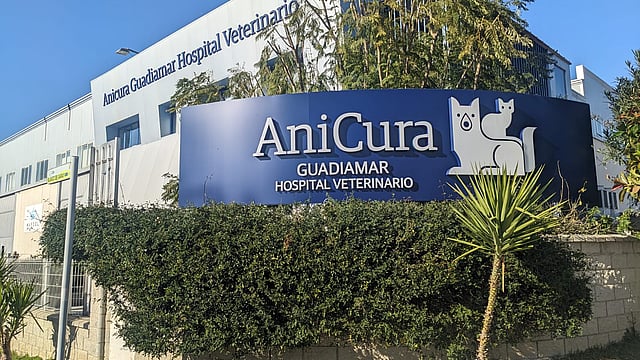 Un letrero en la pared de un edificio.