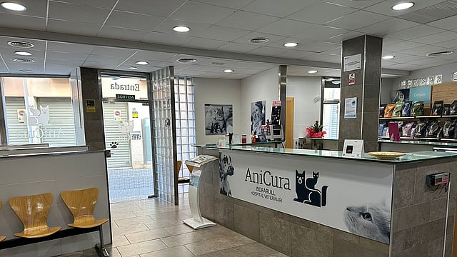 Un mostrador de recepción en un edificio.
