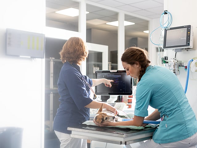 Una persona y un perro sobre una mesa.