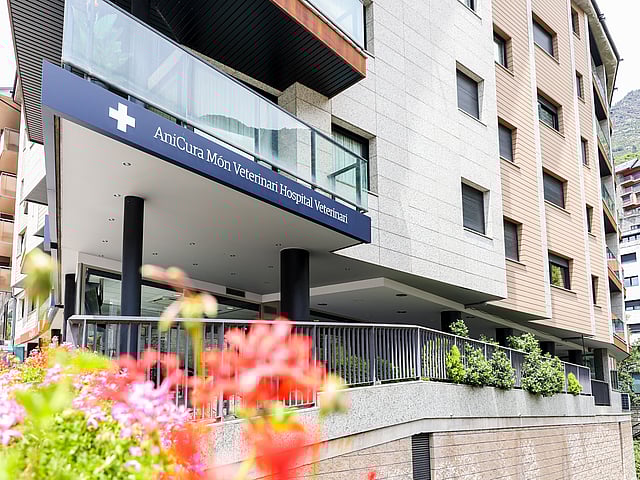 Un edificio con barandilla y flores.