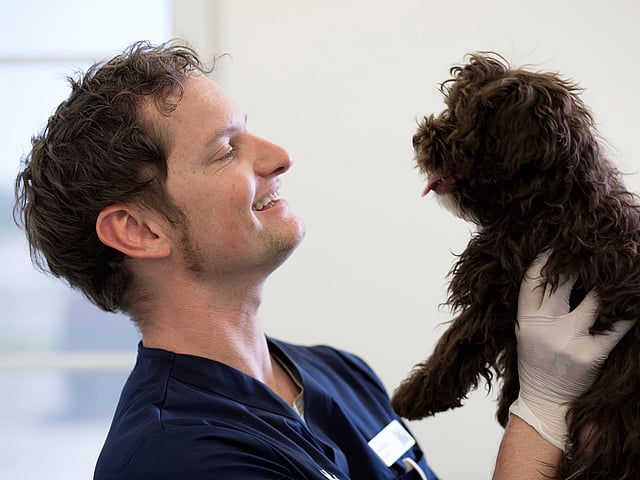Una persona sosteniendo a un perro.