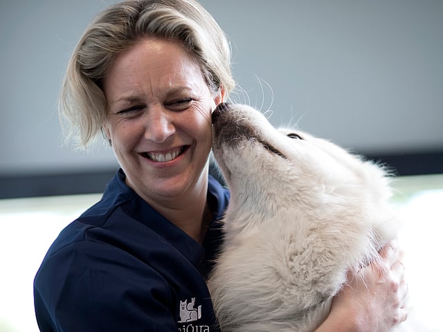 Una persona sosteniendo a un perro.