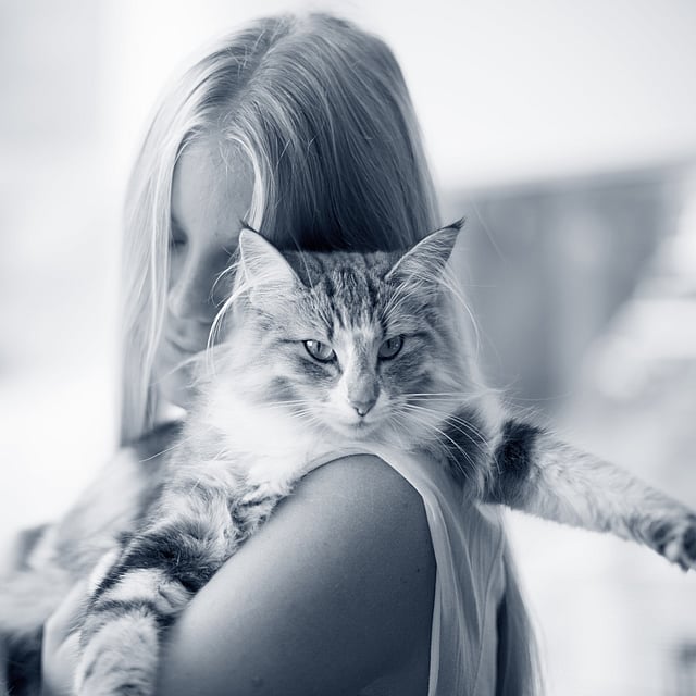 Una persona sosteniendo un gato.