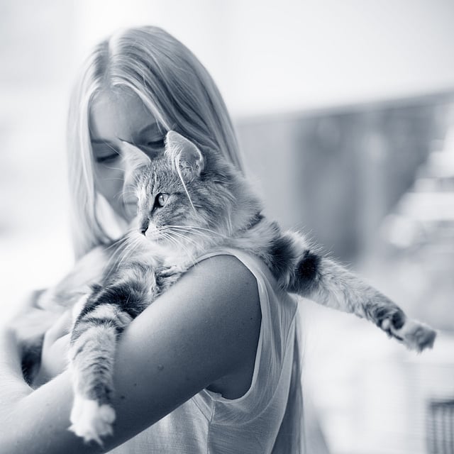 Una persona sosteniendo un gato.