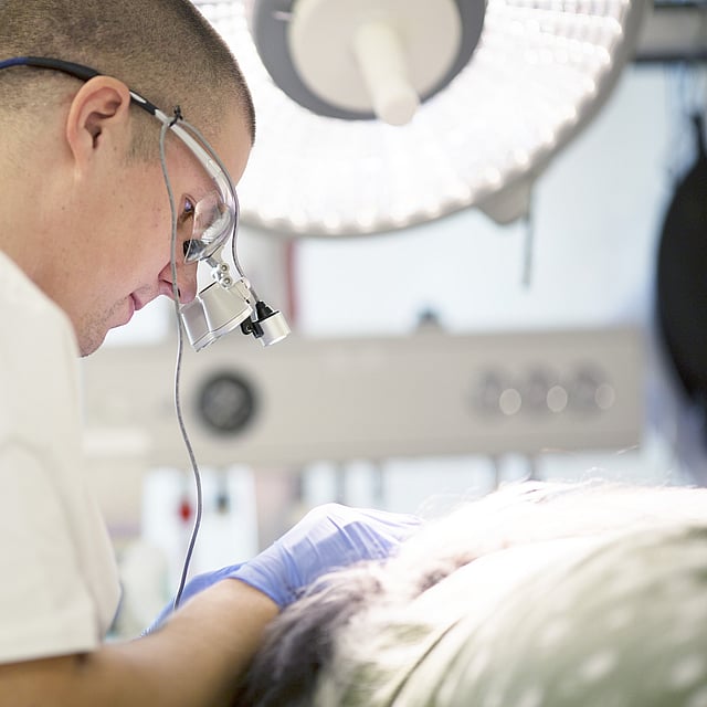 Un médico con una mascarilla quirúrgica.