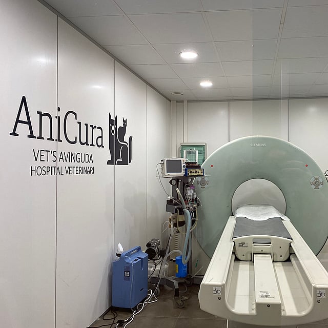 Una habitación con una máquina.