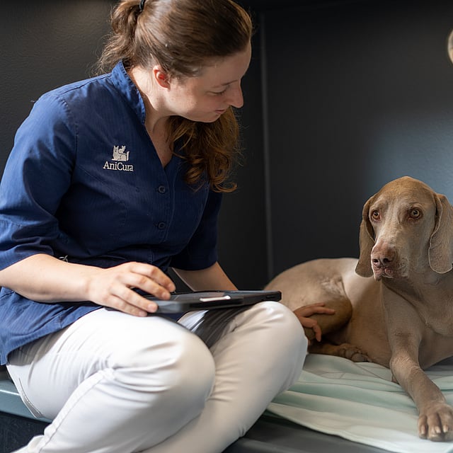 Una persona sentada en una cama con un perro.