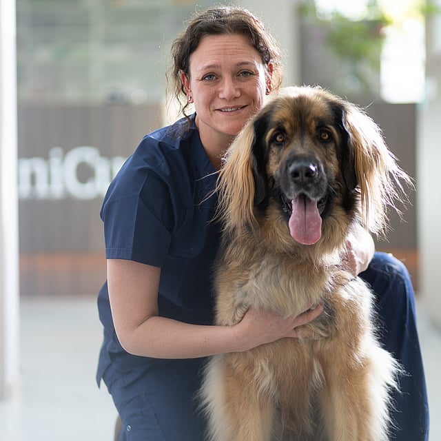 veterinaria con perro grande