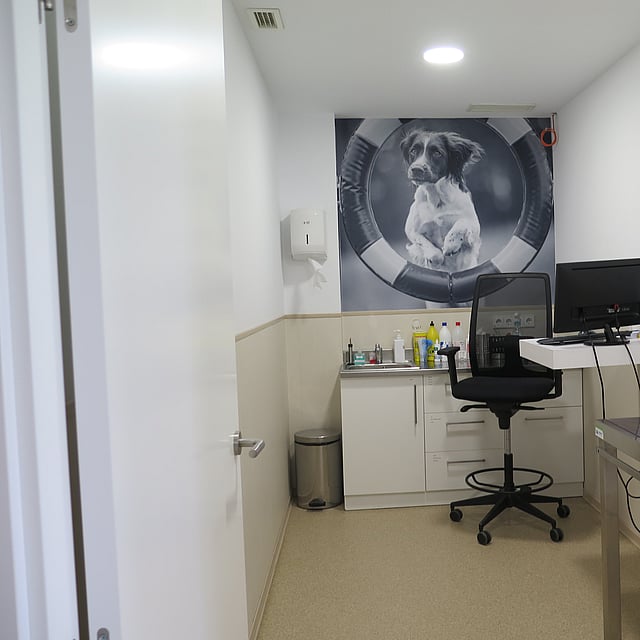 Una habitación con una computadora y una foto de un perro.