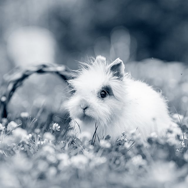 Un conejo en la hierba con flores.
