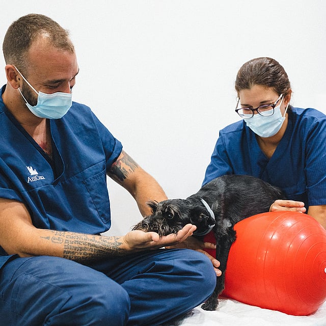 Una persona y una persona con mascarillas sosteniendo a un perro.