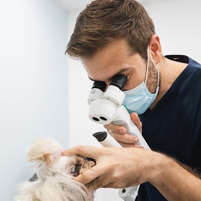 Una persona con una mascarilla y mirando a través de un microscopio.