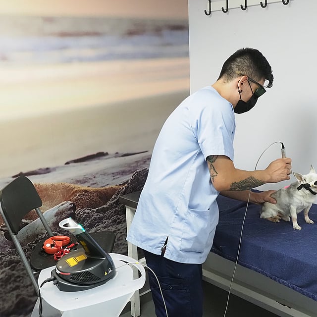 Una persona con uniforme médico.