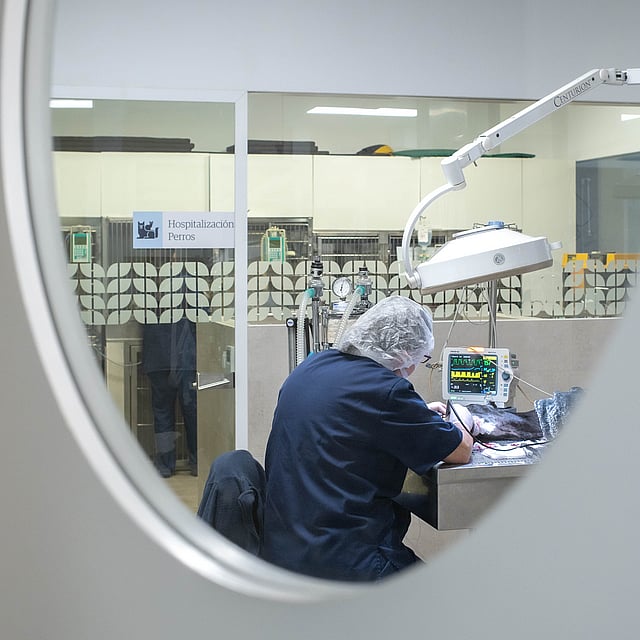 Una persona que trabaja en un dispositivo médico.