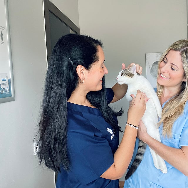 Dos mujeres sosteniendo un gato.