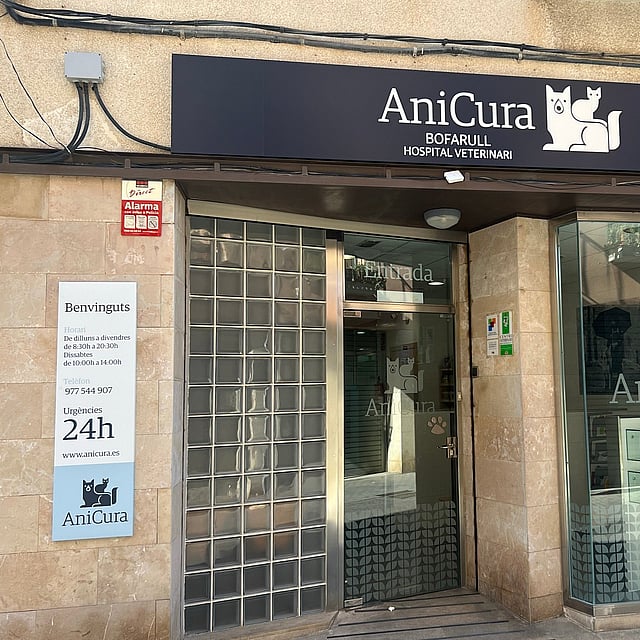 Un escaparate con puertas de cristal.