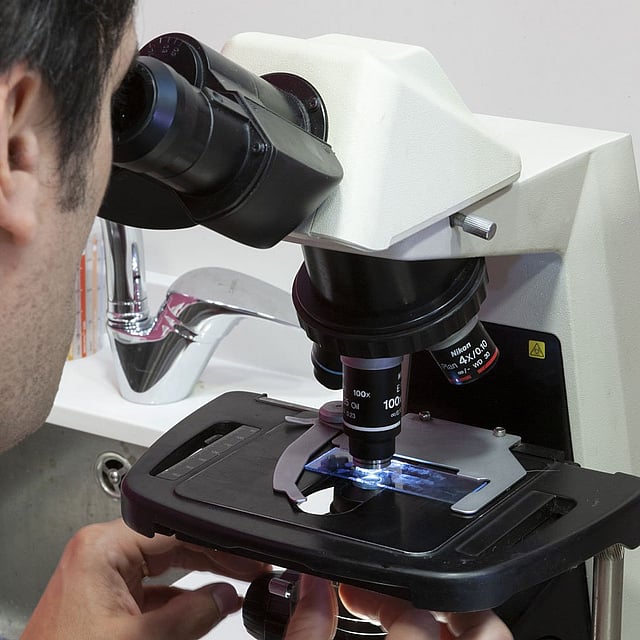 Una persona mirando a través de un microscopio.