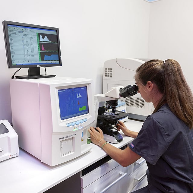 Una persona mirando a través de un microscopio.