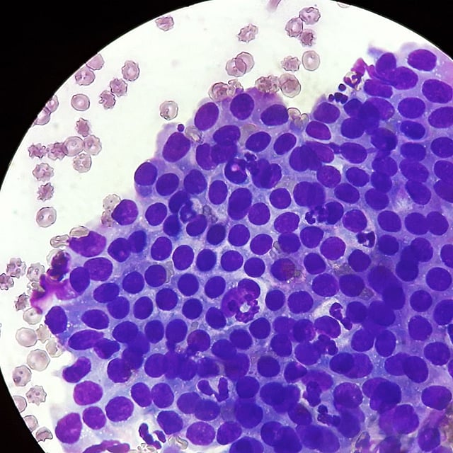 Un primer plano de un microscopio.