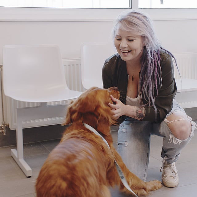 Una persona con pelo morado acariciando a un perro.