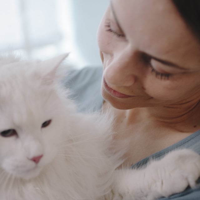Una persona sosteniendo un gato blanco.
