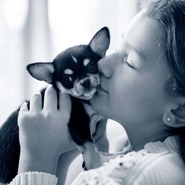 Un niño besando a un cachorro.