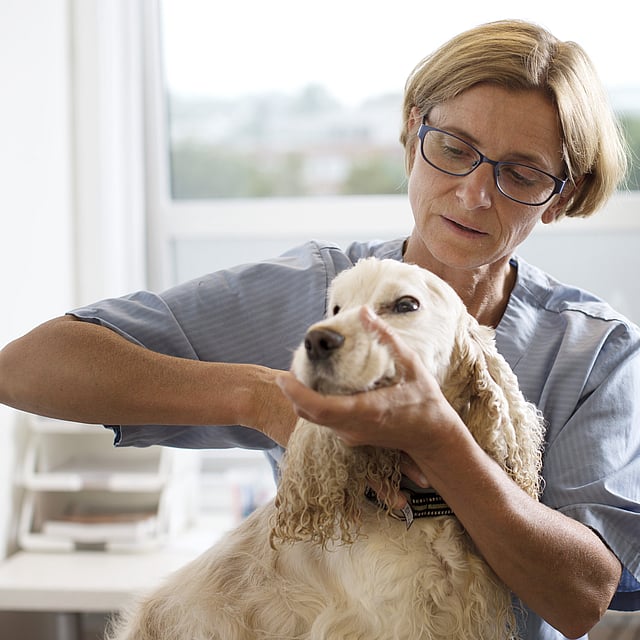Una persona con gafas sosteniendo a un perro.