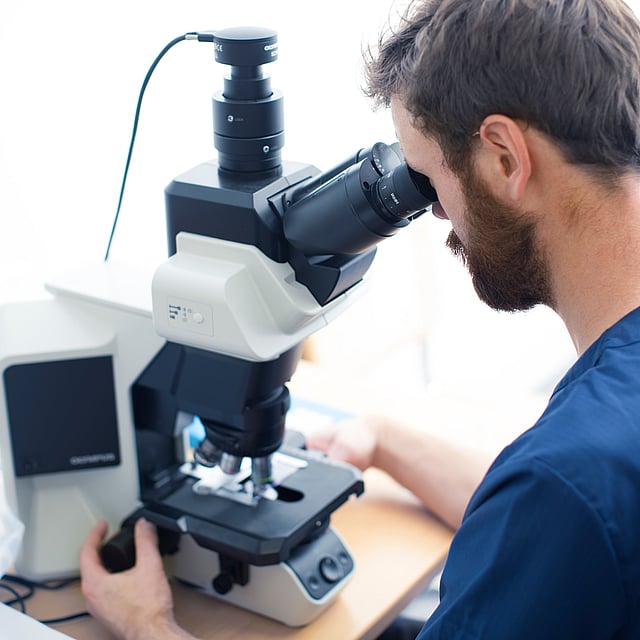 Una persona mirando a través de un microscopio.
