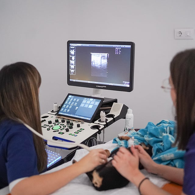 Un par de mujeres mirando la pantalla de un ordenador.
