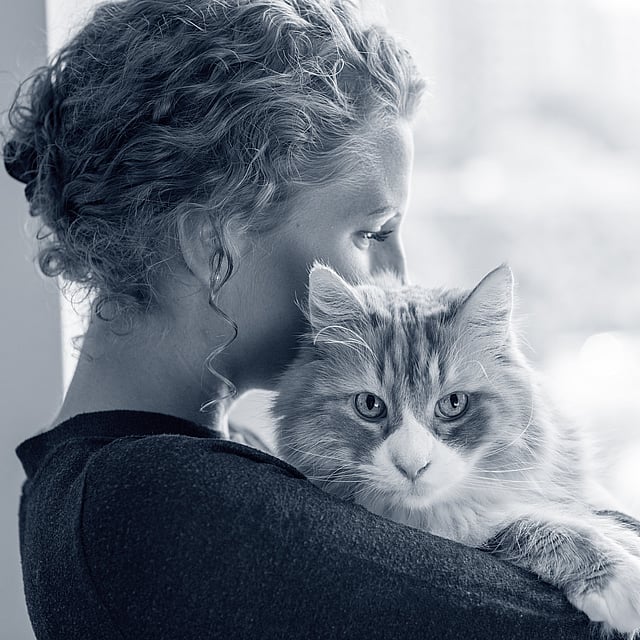 Una persona sosteniendo un gato.