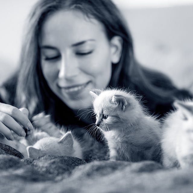 Una persona acariciando gatitos.