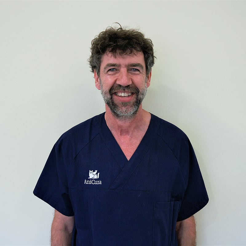 Foto de Xavier Sarobé Alepuz, Veterinario