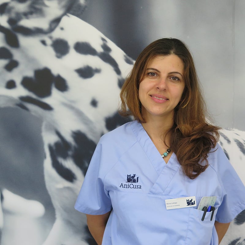 Foto de Mireia Gallego, Auxiliar Tècnic Veterinari
