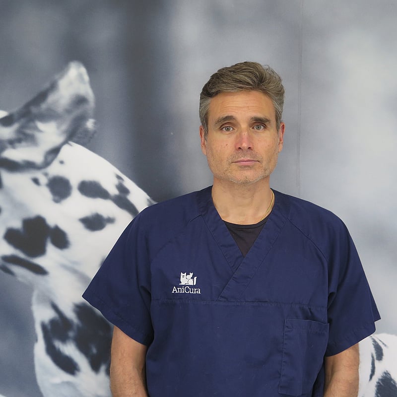 Foto de Miquel Palet Sancho, Veterinario. Dirección.