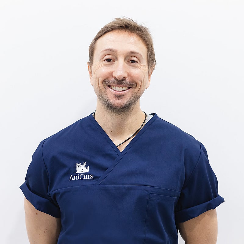 Foto de Jorge Llinás, Director Del Hospital Veterinario Valencia Sur