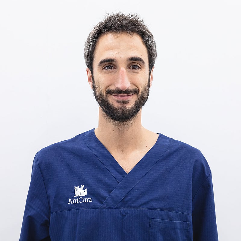 Foto de Manuel Alamán, Cirugía Y Anestesia Veterinaria
