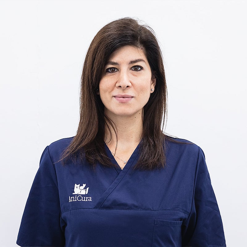 Foto de Teresa Mangas, Responsable Del Servicio De Anestesia
