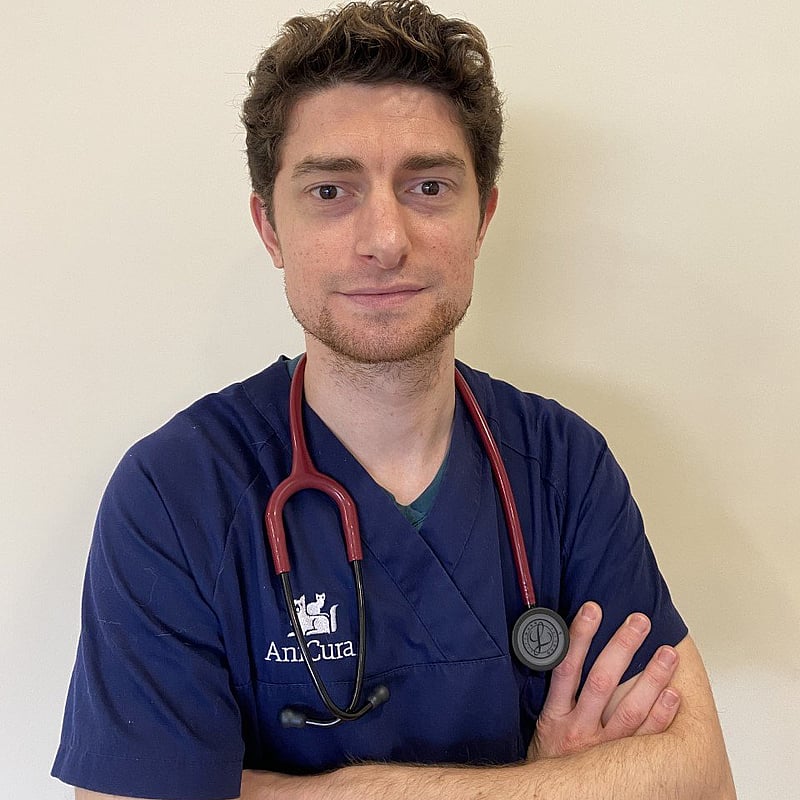 Foto de Joan Ferre Güell, Veterinario