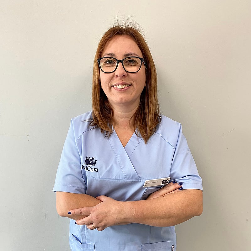 Foto de Monica Barbany Perez, Recepción