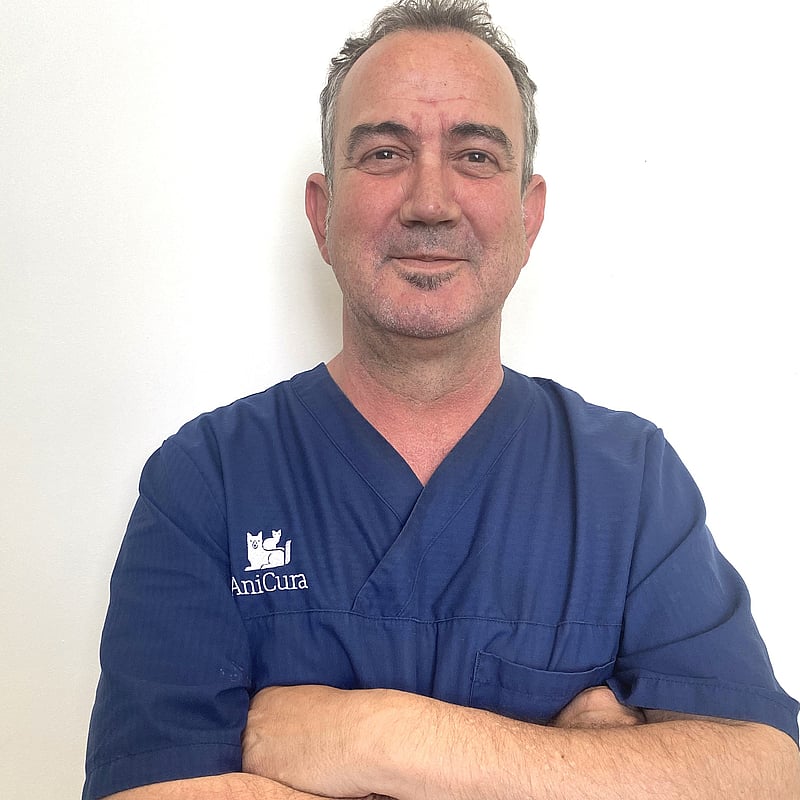 Photo of Antonio Moreno Recuenco, Veterinary